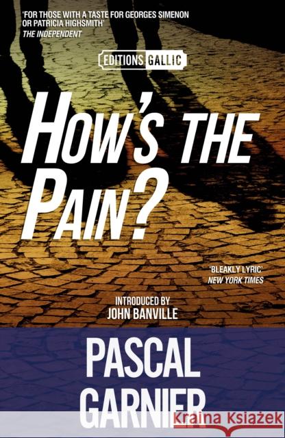 How's the Pain? Pascal Garnier 9781910477922