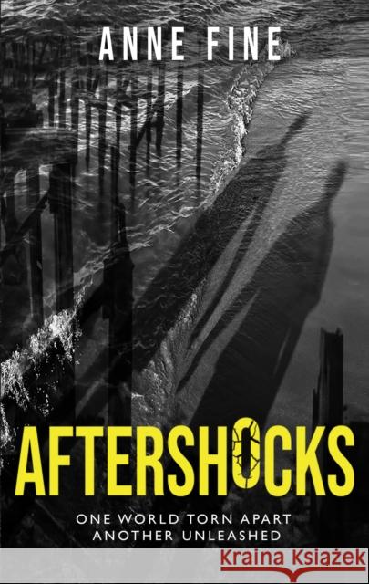 Aftershocks Fine, Anne 9781910646779