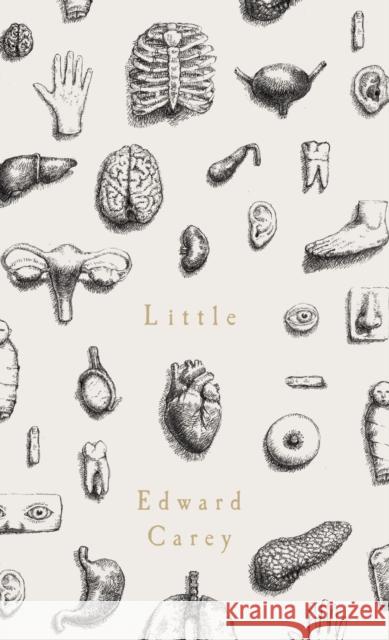 Little Edward Carey Edward Carey 9781910709566