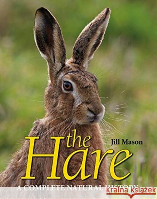 The Hare: A complete natural history Jill Mason 9781910723937