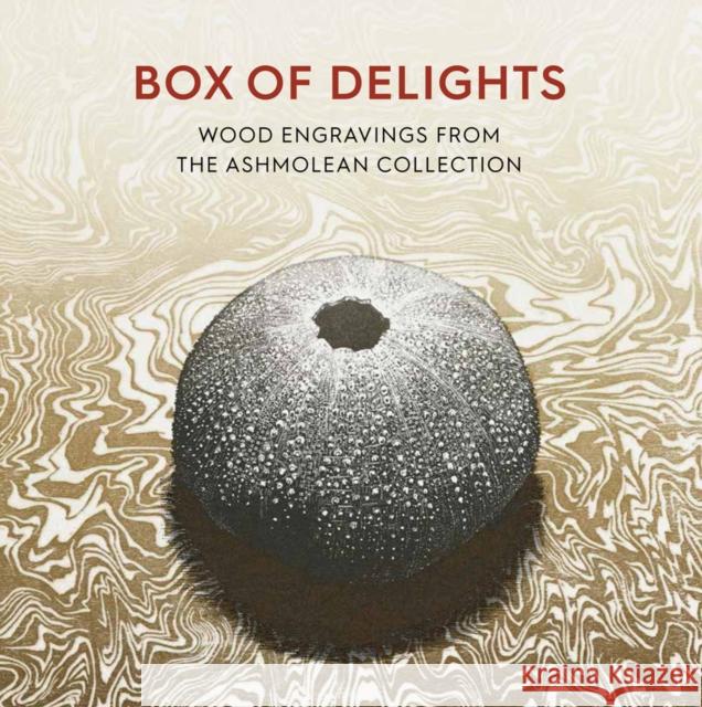 Box of Delights: Wood Engravings from the Ashmolean Collection Anne Desmet   9781910807385 Ashmolean Museum