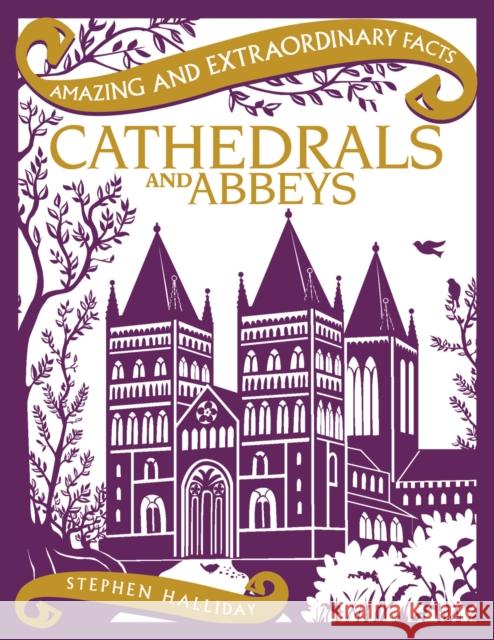 Cathedrals and Abbeys Stephen Halliday 9781910821046