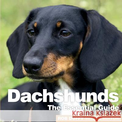 Dachshunds: The Essential Guide Robert Duffy   9781910843772 Bxplans.Ltd