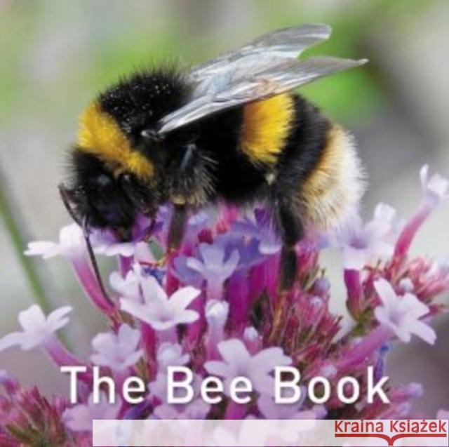 Nature Book Series: The Bee Book Jo Byrne 9781910862315 Graffeg Limited