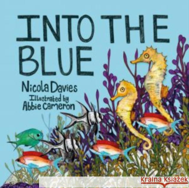 Into the Blue Nicola Davies 9781910862452