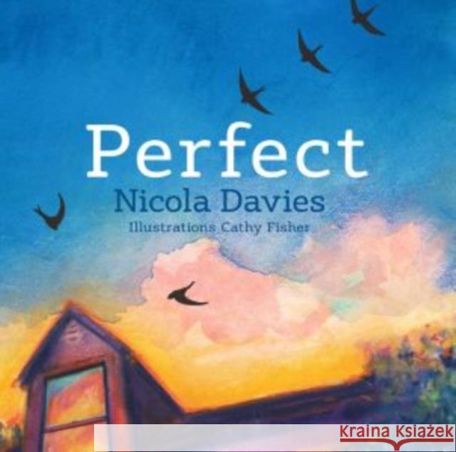 Perfect Nicola Davies 9781910862469