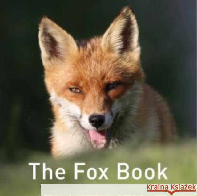 Nature Book Series: The Fox Book Jane Russ 9781910862551 Graffeg Limited
