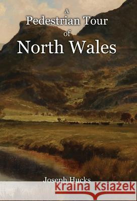 A Pedestrian Tour through North Wales in a Series of Letters Hucks, Joseph 9781910893098 Hounskull Publishing