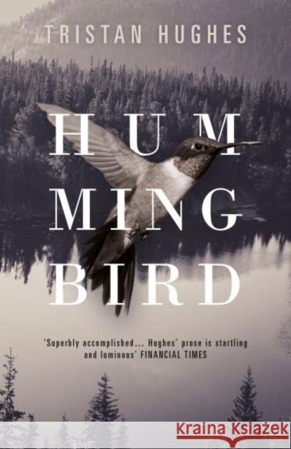 Hummingbird Tristan Hughes 9781910901908 Parthian Books