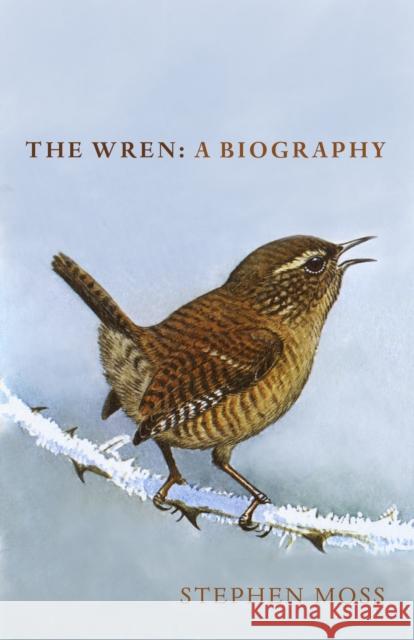 The Wren: A Biography Stephen Moss 9781910931936 Vintage Publishing