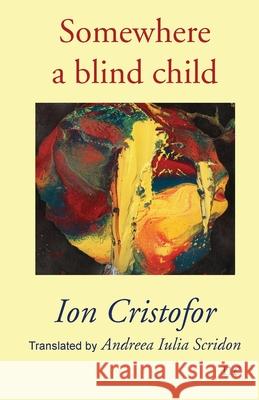 Somewhere a blind child Ion Cristofor Andreea Iulia Scridon 9781910981146