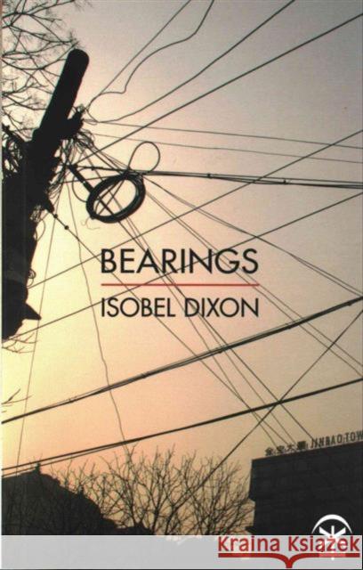 Bearings Isobel Dixon 9781911027027