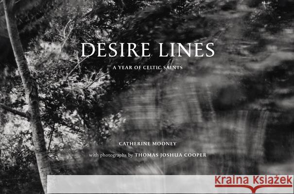 Desire Lines: A Year of Celtic Saints Anne Lyden 9781911054658