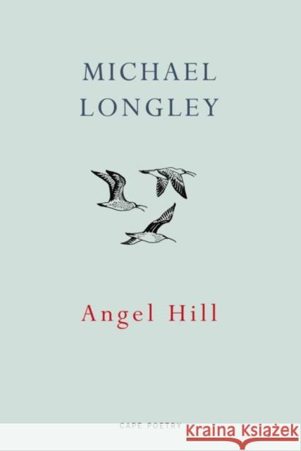 Angel Hill Longley, Michael 9781911214083