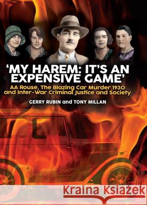 My Harem: It's an Expensive Game  9781911273806 Mango Books