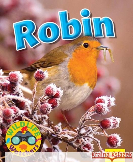 Wildlife Watchers: Robin Ruth Owen 9781911341178