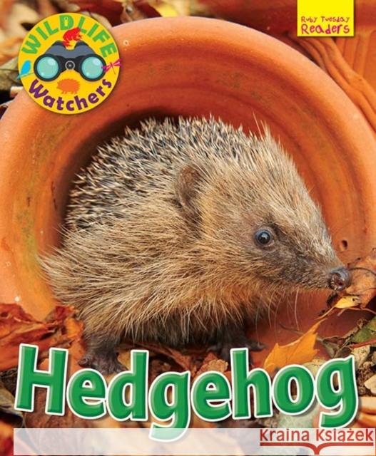 Wildlife Watchers: Hedgehog Ruth Owen 9781911341277