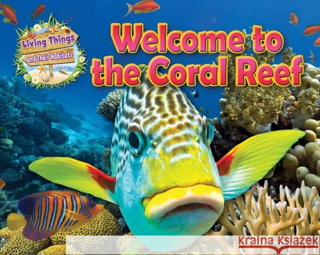 Welcome to the Coral Reef Honor Head   9781911341529 Ruby Tuesday Books Ltd