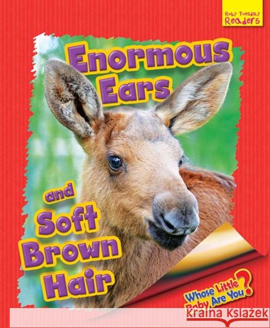 Whose Little Baby Are You? Enormous Ears and Soft Brown Hair Ellen Lawrence 9781911341574 