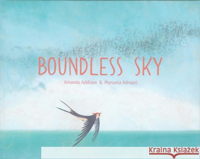 Boundless Sky Amanda Addison Manuela Adreani 9781911373674