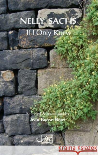 If I Only Knew Nelly Sachs 9781911469391 Arc Publications