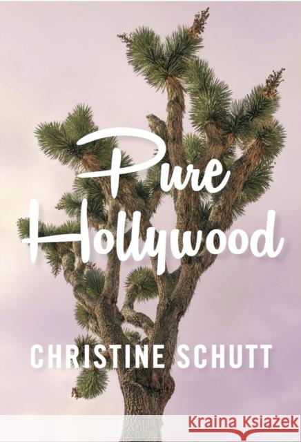 Pure Hollywood Christine Schutt   9781911508243