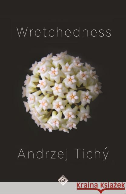 Wretchedness: Winner of the 2021 Oxford-Weidenfeld Translation Prize Andrzej Tichy 9781911508762 And Other Stories