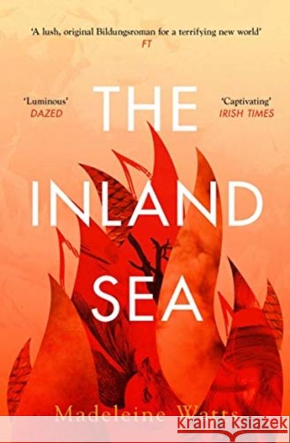 The Inland Sea Madeleine Watts 9781911590255