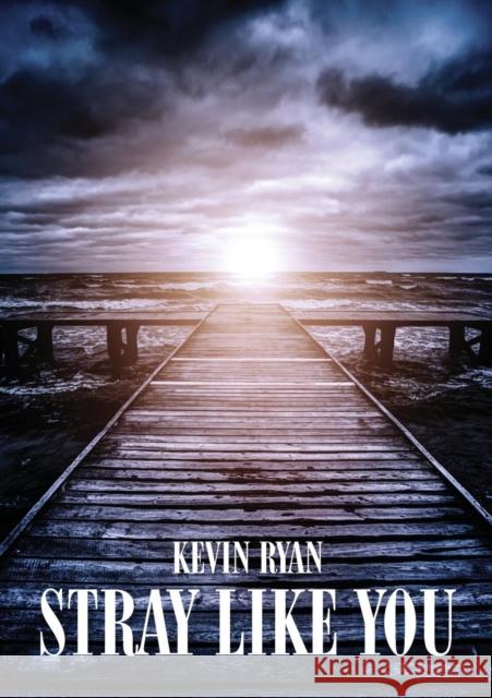 Stray Like You Kevin Ryan 9781911596561 Spiderwize