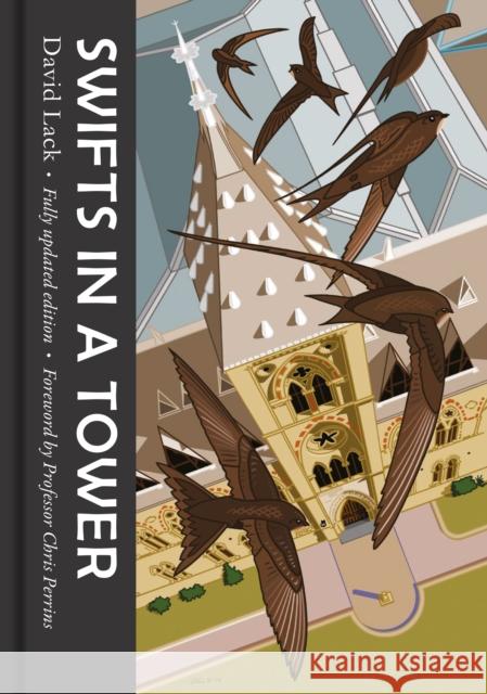 Swifts in a Tower David Lack 9781911604365 Unicorn Publishing Group