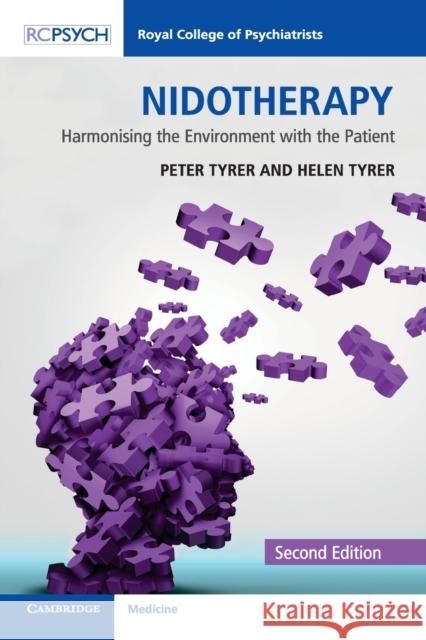 Nidotherapy: Harmonising the Environment with the Patient Peter Tyrer Helen Tyrer 9781911623052