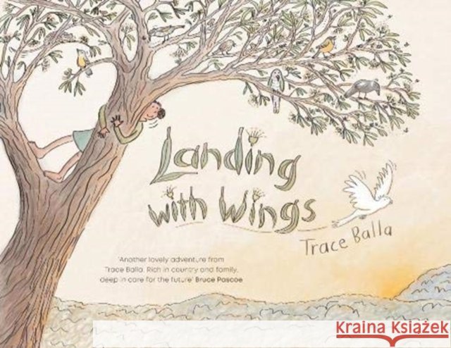 Landing with Wings Trace Balla 9781911631828