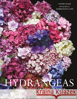 Hydrangeas: Beautiful Varieties for Home and Garden Naomi Slade 9781911641230