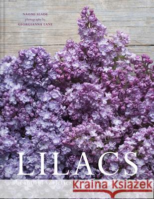 Lilacs: Beautiful varieties for home and garden NAOMI SLADE  GEORGIA 9781911663966 HarperCollins Publishers