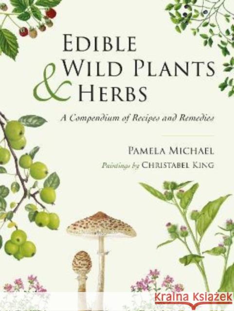Edible Wild Plants and Herbs: A compendium of recipes and remedies Pamela Michael 9781911667346 Grub Street Publishing