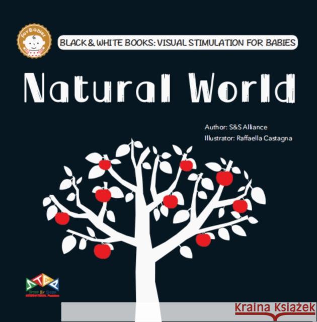 Natural World  9781911689010 Step-By-Step International Publishing UK Limi