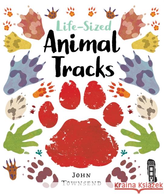 Life-Sized Animal Tracks John Townsend 9781912006106