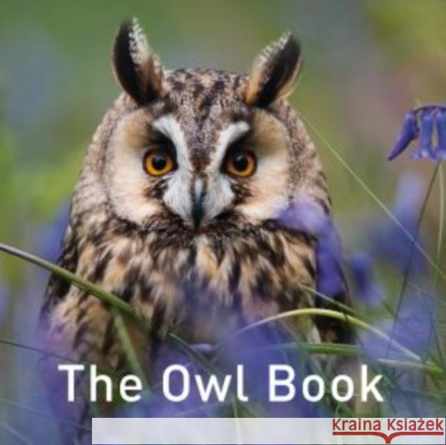 Nature Book Series, The: The Owl Book Jane Russ 9781912050420 Graffeg Limited