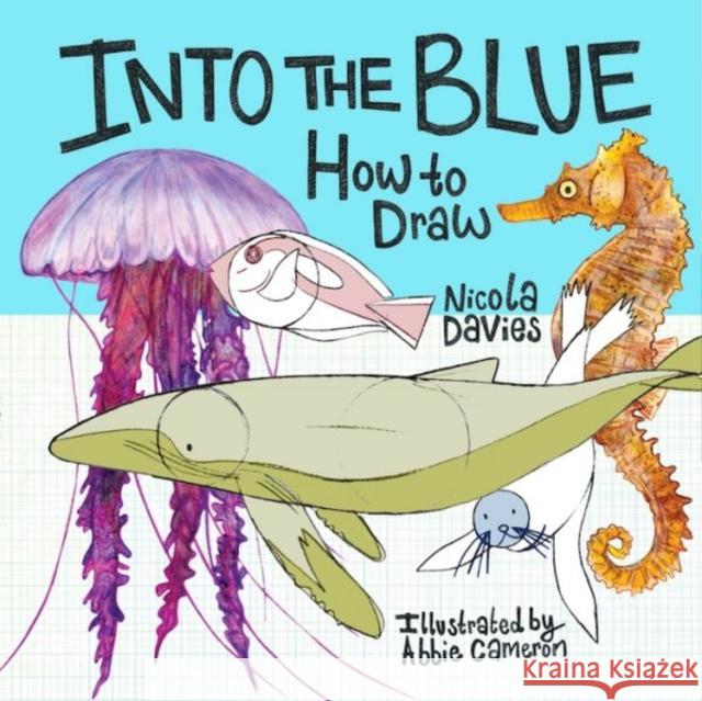 How to Draw: Into the Blue Nicola Davies 9781912050550 Graffeg