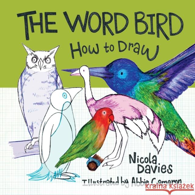 How to Draw: The Word Bird Nicola Davies 9781912050574 Graffeg