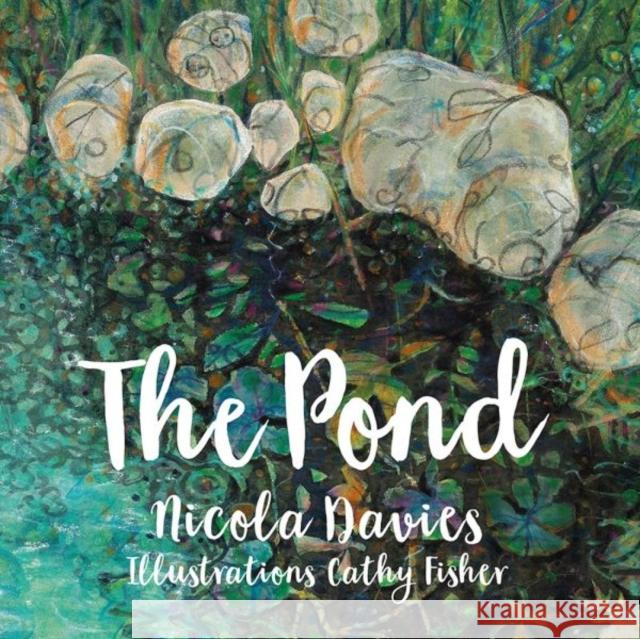 The Pond Nicola Davies Cathy Fisher 9781912050703