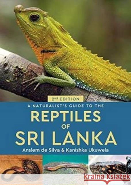 A Naturalist's Guide to the Reptiles of Sri Lanka (2nd edition) Kanishka Ukuwela 9781912081233