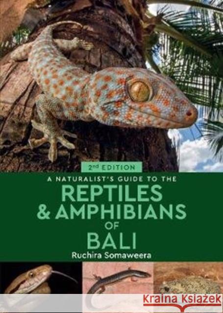 A Naturalist's Guide to the Reptiles & Amphibians of Bali (2nd edition) Dr Ruchira Somaweera 9781912081257 John Beaufoy Publishing Ltd
