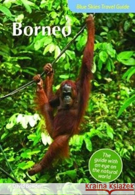 Blue Skies Travel Guide: Borneo David Bowden 9781912081516