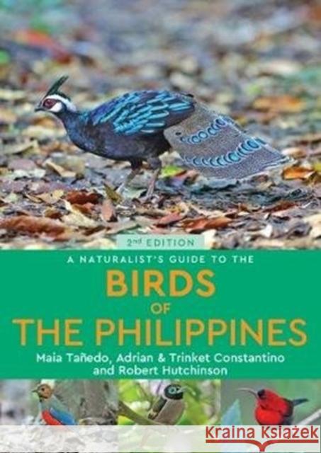 A Naturalist’s Guide to the Birds of the Philippines (2nd edition) Maia Tanedo 9781912081530 John Beaufoy Publishing Ltd