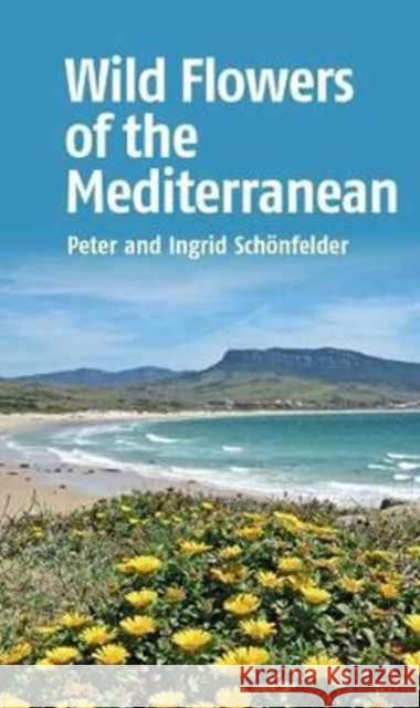 Wild Flowers of the Mediterranean Peter And Ingrid Schoenfelder 9781912081707