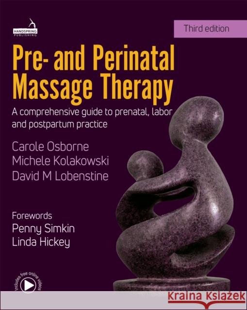 Pre- And Perinatal Massage Therapy: A Comprehensive Guide to Prenatal, Labor and Postpartum Practice David Lobenstine 9781912085736 Jessica Kingsley Publishers