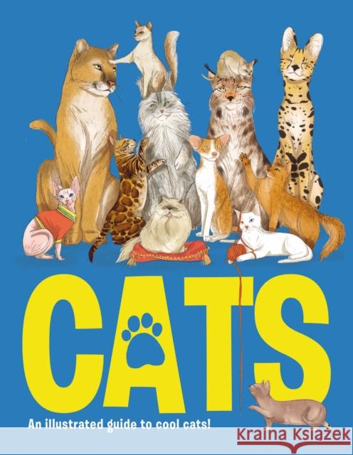 CATS: An illustrated guide to 80 cool cats, from impressive wild cats to cuddly companions! Eliza Jeffery 9781912108565 Hungry Tomato Ltd