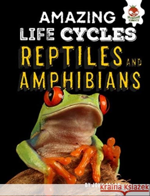 Reptiles and Amphibians - Amazing Life Cycles John Allan   9781912108992 Hungry Tomato Ltd