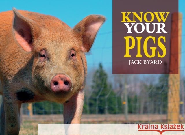 Know Your Pigs Jack Byard 9781912158546